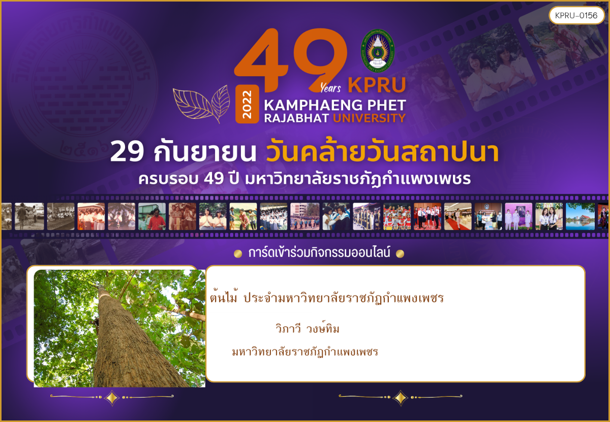 ใบเข้าร่วมกิจกรรมออนไลน์ ของ วิภาวี วงษ์ทิม