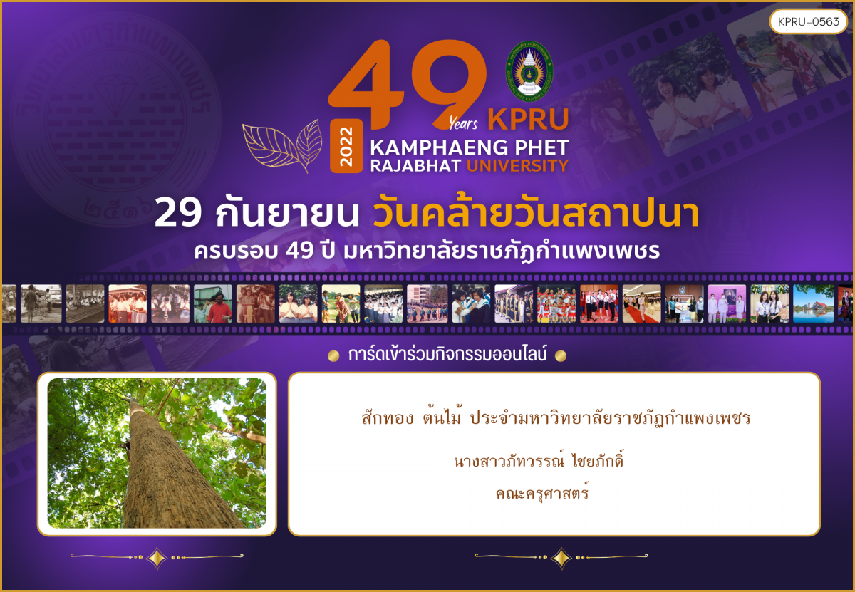 ใบเข้าร่วมกิจกรรมออนไลน์ ของ นางสาวภัทวรรณ์ ไชยภักดิ์