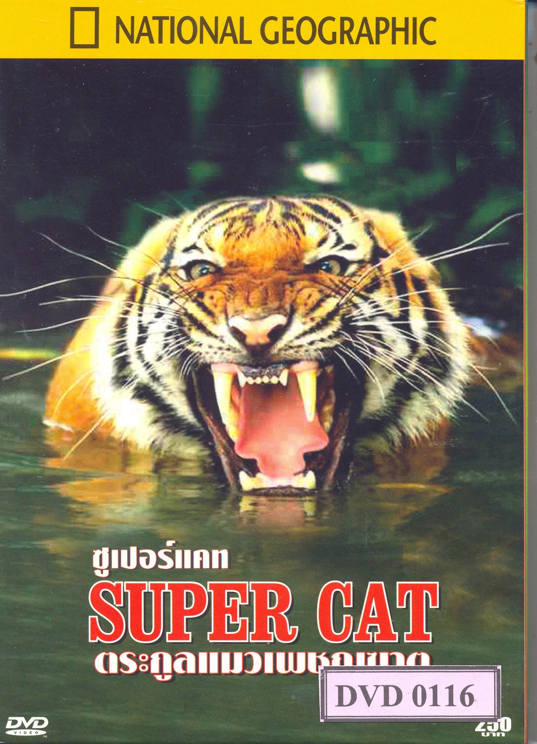 Super Cat ตระกลูแมวเพชฌฆาต 