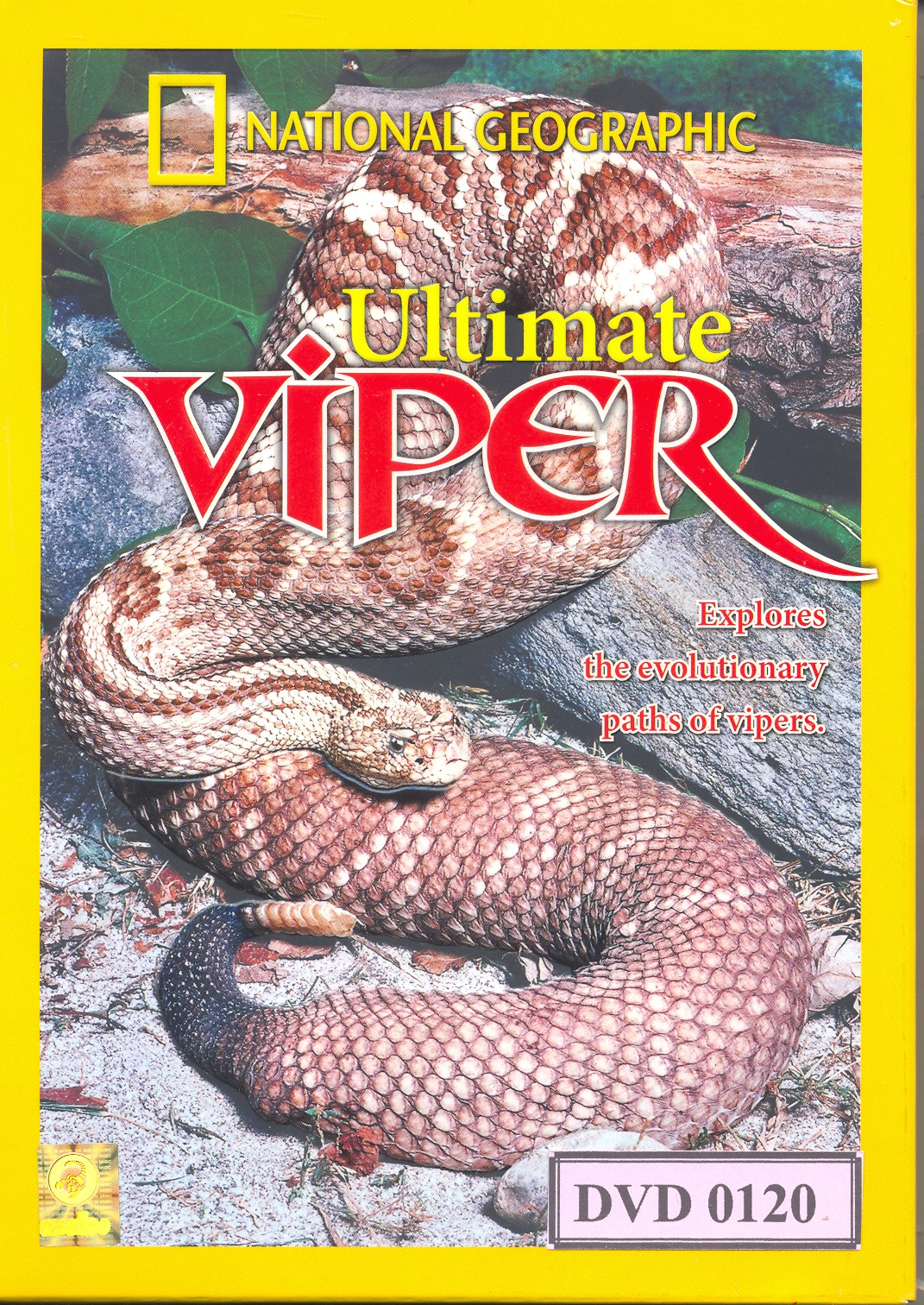 Ultimate Viper 