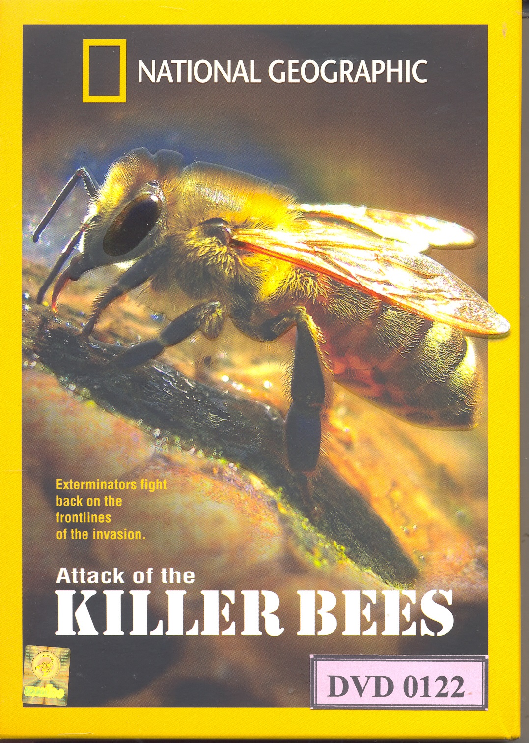 Attack of the Killer Bees 