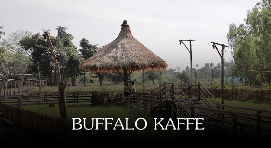 ร้านกาแฟ Buffalo Kaffé (บัฟฟาโล่ กาเฟ่)