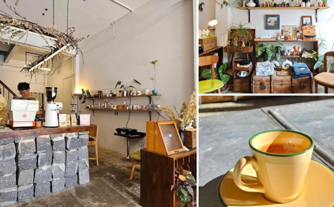 ROAR Specialty Coffee