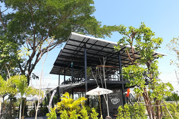 Organic Coffee & Farm กำแพงเพชร 