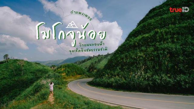 โมโกจู บนหลังคาป่าแม่วงก์