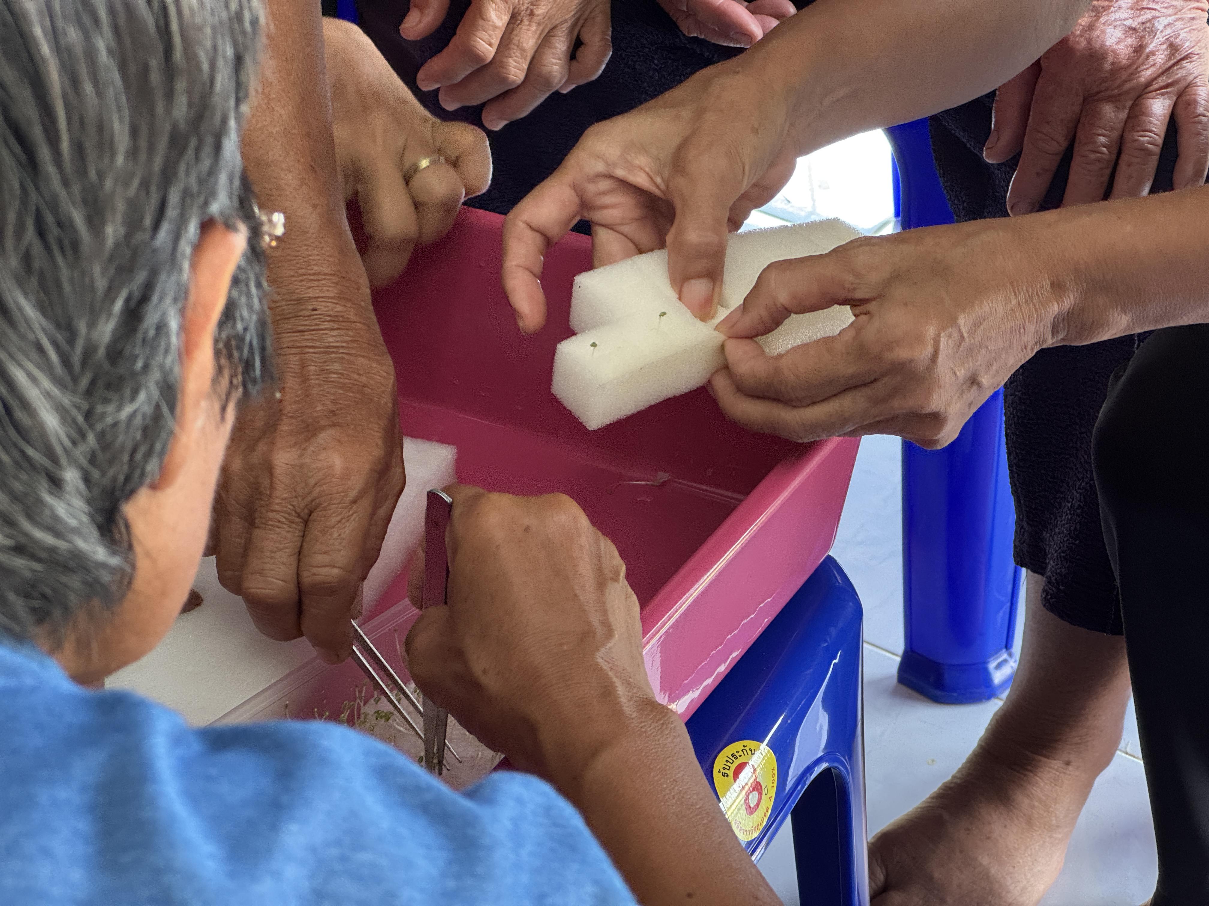 90. วันที่ 24 เมษายน 2568 เรื่อง การสร้างระบบอินเตอร์เน็ตของสรรพสิ่ง (IOT) สำหรับงานเกษตรอัจฉริยะ (Smart Farm) สำหรับประชาชนทั่วไป