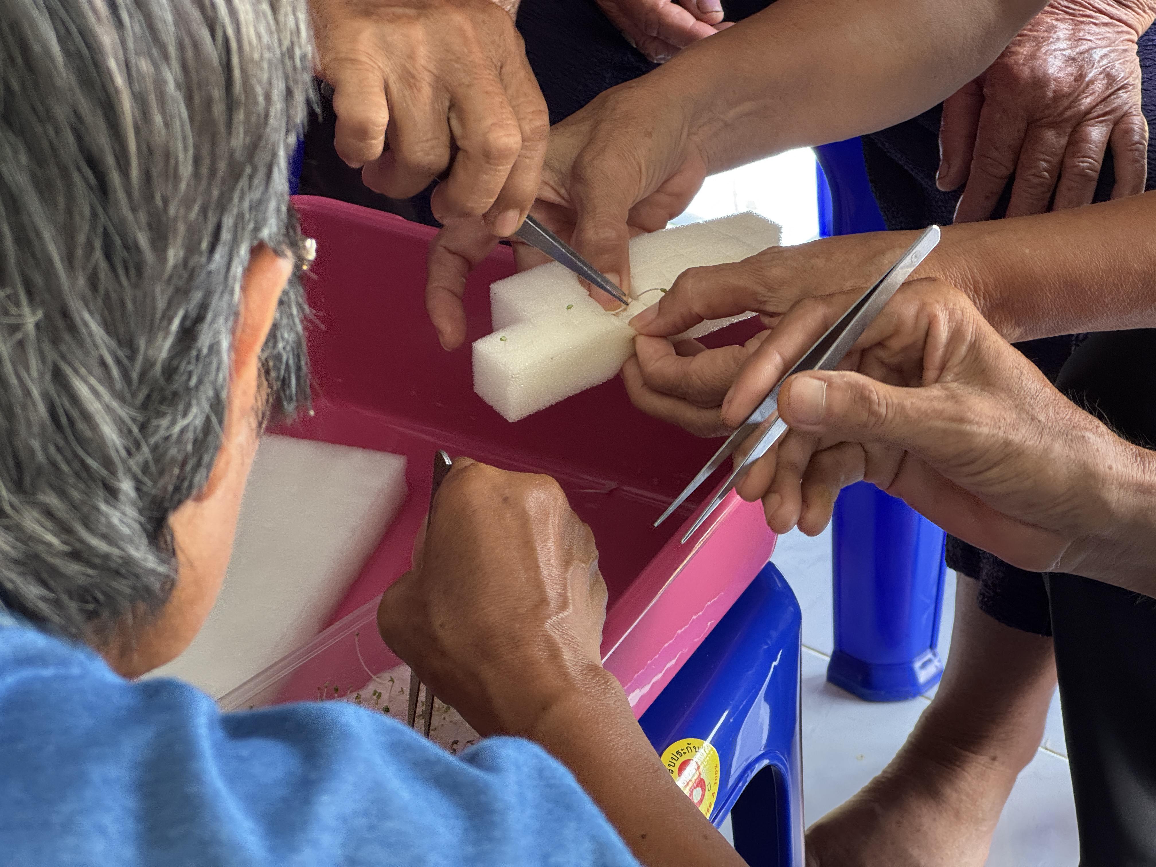 91. วันที่ 24 เมษายน 2568 เรื่อง การสร้างระบบอินเตอร์เน็ตของสรรพสิ่ง (IOT) สำหรับงานเกษตรอัจฉริยะ (Smart Farm) สำหรับประชาชนทั่วไป