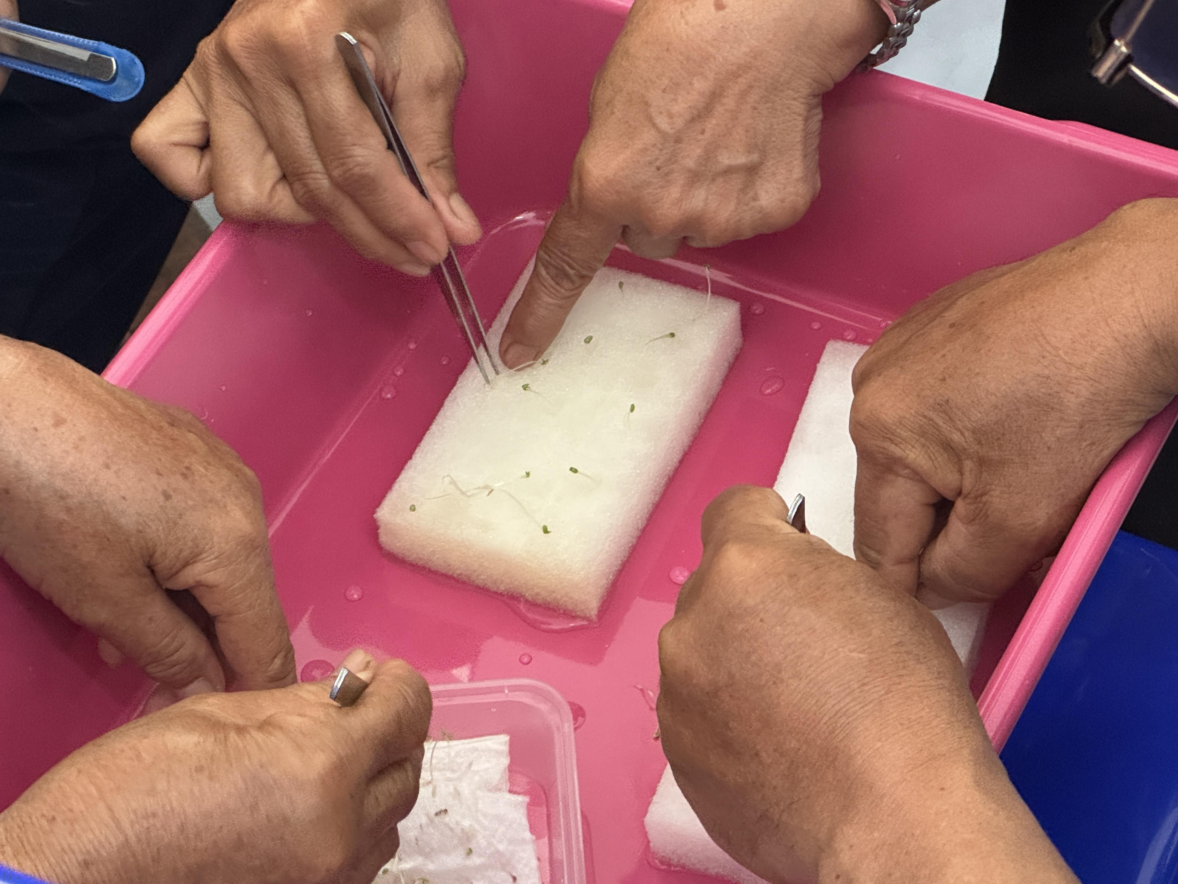 94. วันที่ 24 เมษายน 2568 เรื่อง การสร้างระบบอินเตอร์เน็ตของสรรพสิ่ง (IOT) สำหรับงานเกษตรอัจฉริยะ (Smart Farm) สำหรับประชาชนทั่วไป