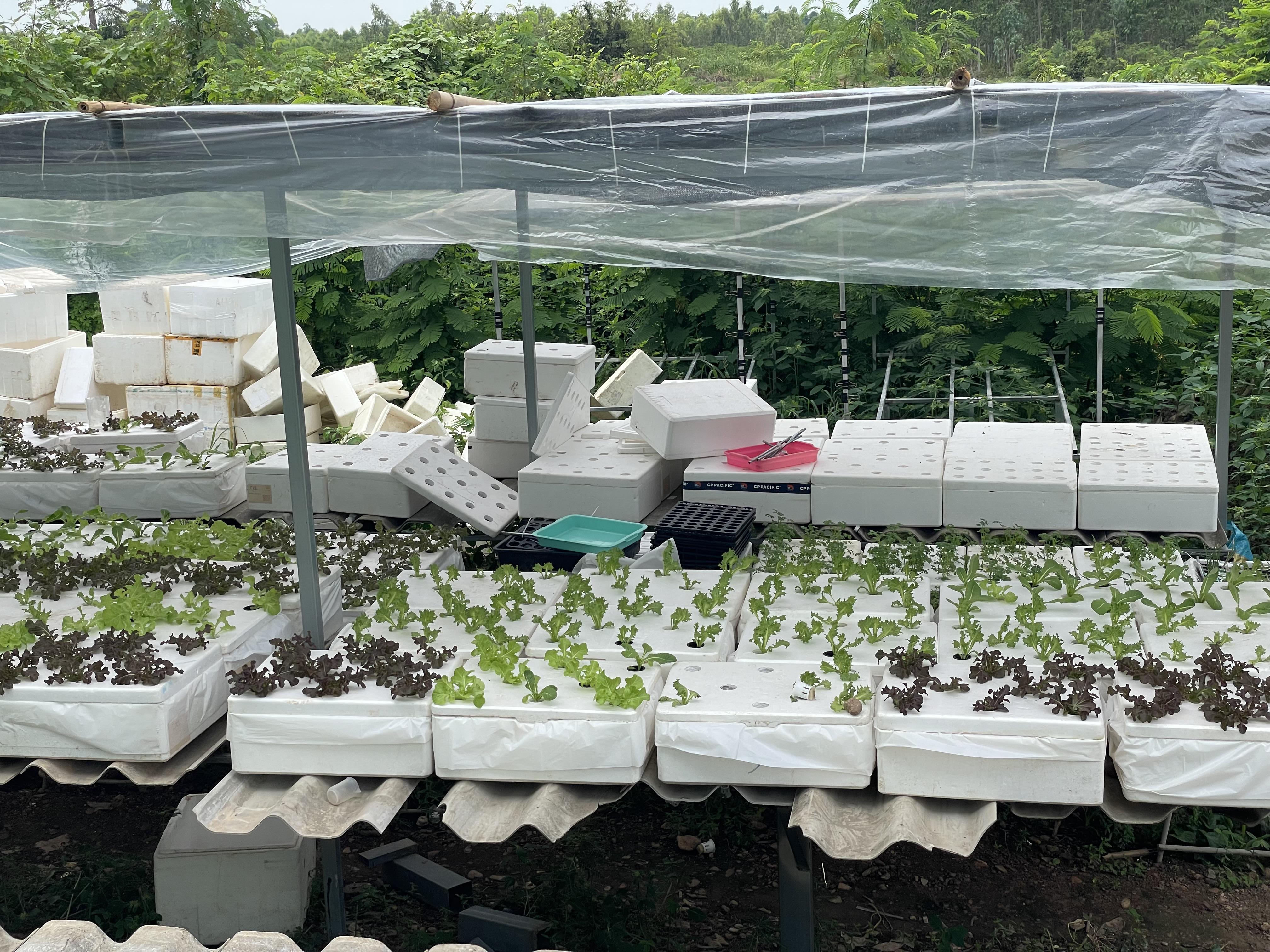 26. วันที่ 16 กรกฎาคม 2569 เรื่อง การประยุกต์ใช้ AI สำหรับงานเกษตรอัจฉริยะ (Smart Farm) สำหรับประชาชนทุกช่วงวัย สำหรับนักเรียน ณ รร.บ้านทรัพย์มะนาว