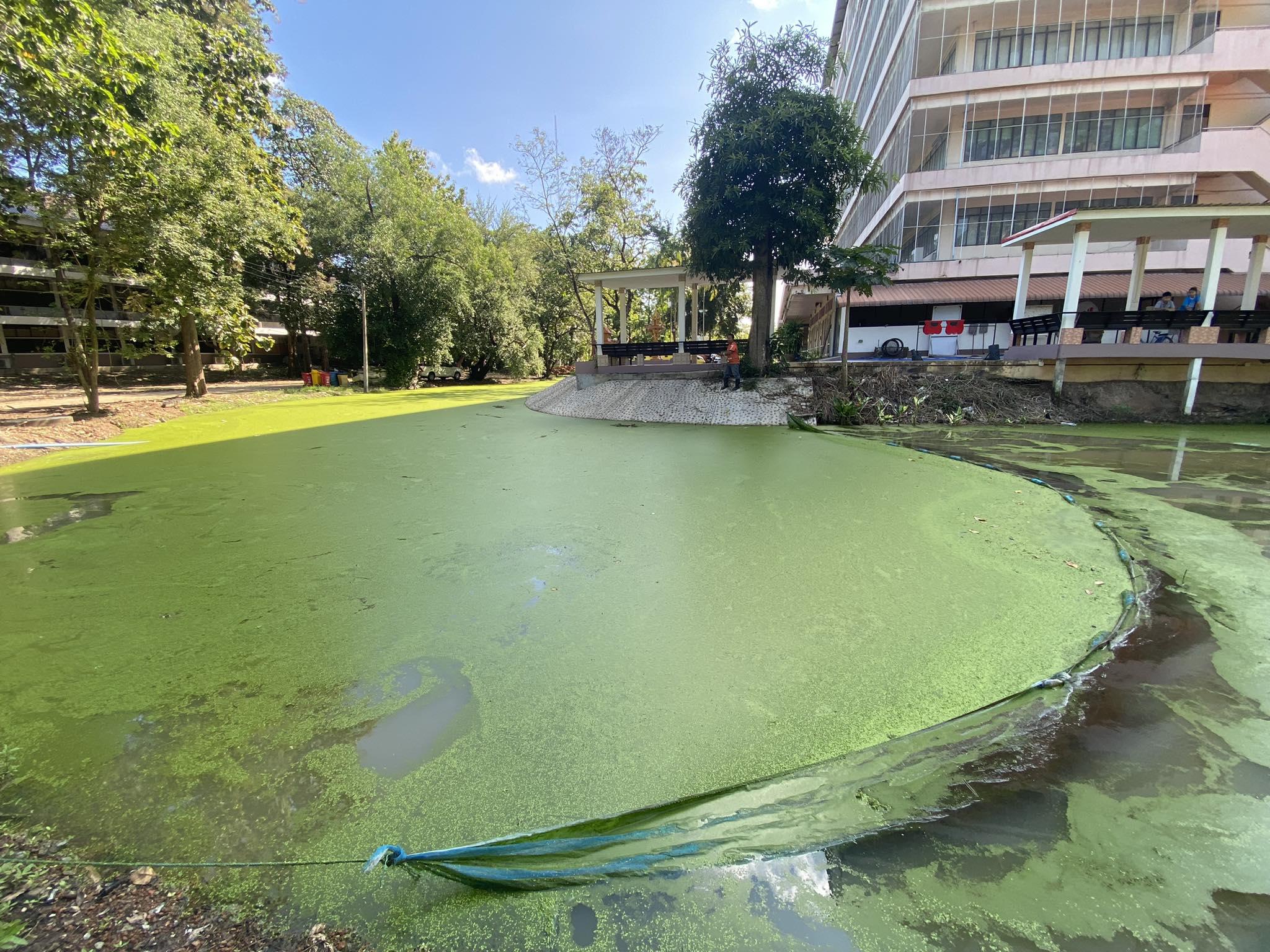 1. กิจกรรม พุธพัฒนา วันที่ 1 พฤศจิกายน 2566