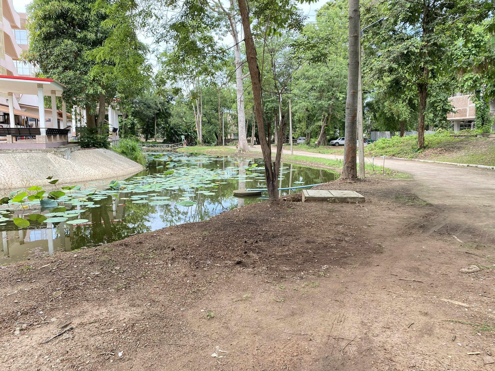 3. กิจกรรม พุธพัฒนา 18 มิถุนายน 2568