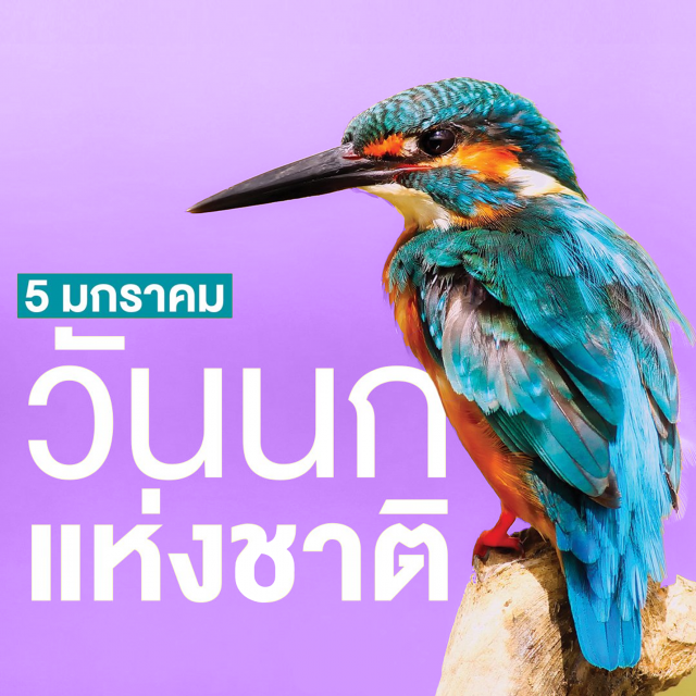 วันนกแห่งชาติ (National Bird Day)