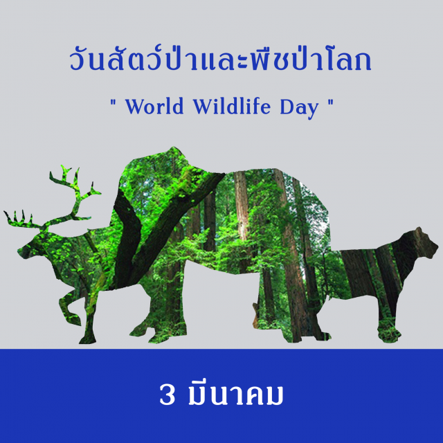 วันสัตว์ป่าและพืชป่าโลก (World Wildlife Day)