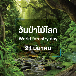 วันป่าไม้โลก (World forestry day)