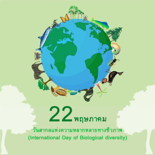 วันสากลแห่งความหลากหลายทางชีวภาพ (International Day of Biological diversity)