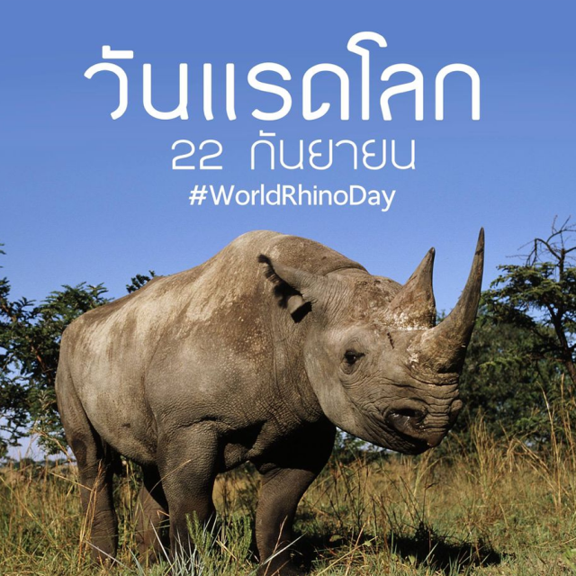 วันแรดโลก (World Rhino Day)