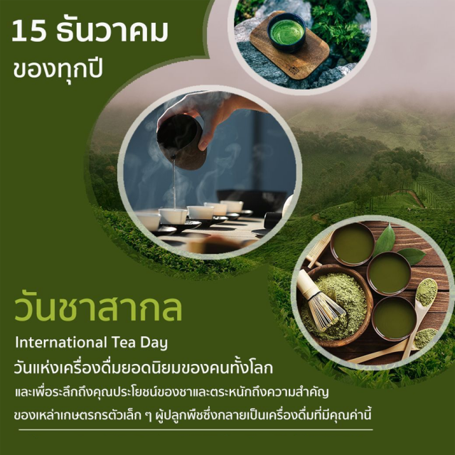 วันชาสากล (International Tea Day)