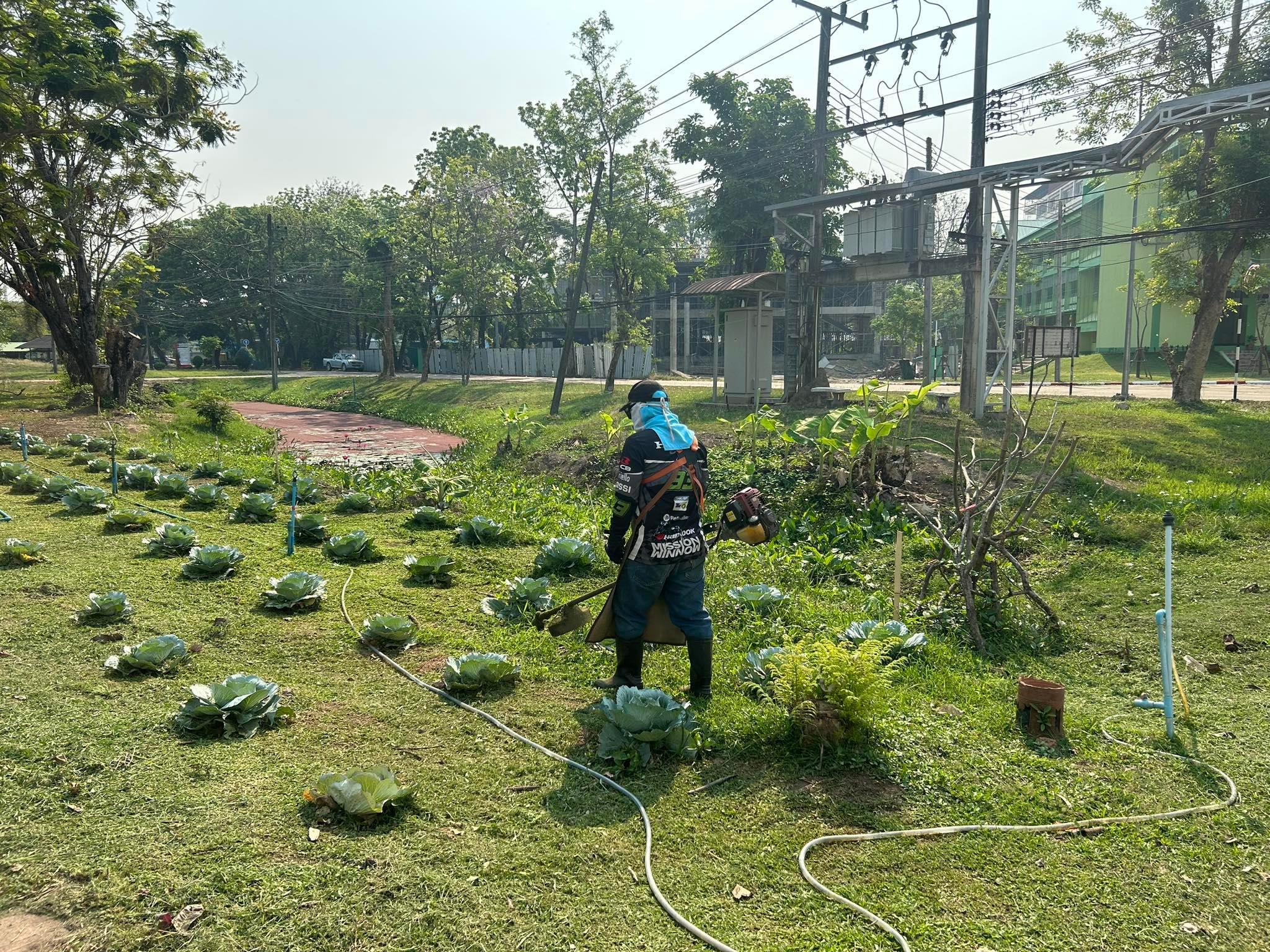 4. สำนักวิทยบริการและเทคโนโลยีสารสนเทศ มหาวิทยาลัยราชภัฏกำแพงเพชร ขอร่วมรณรงค์กิจกรรมวันดินโลก (World Soil Day) ในหัวข้อ "soil and Water:a source of life ดินดี น้ำสมบูรณ์ เกื้อกูลชีวิต"