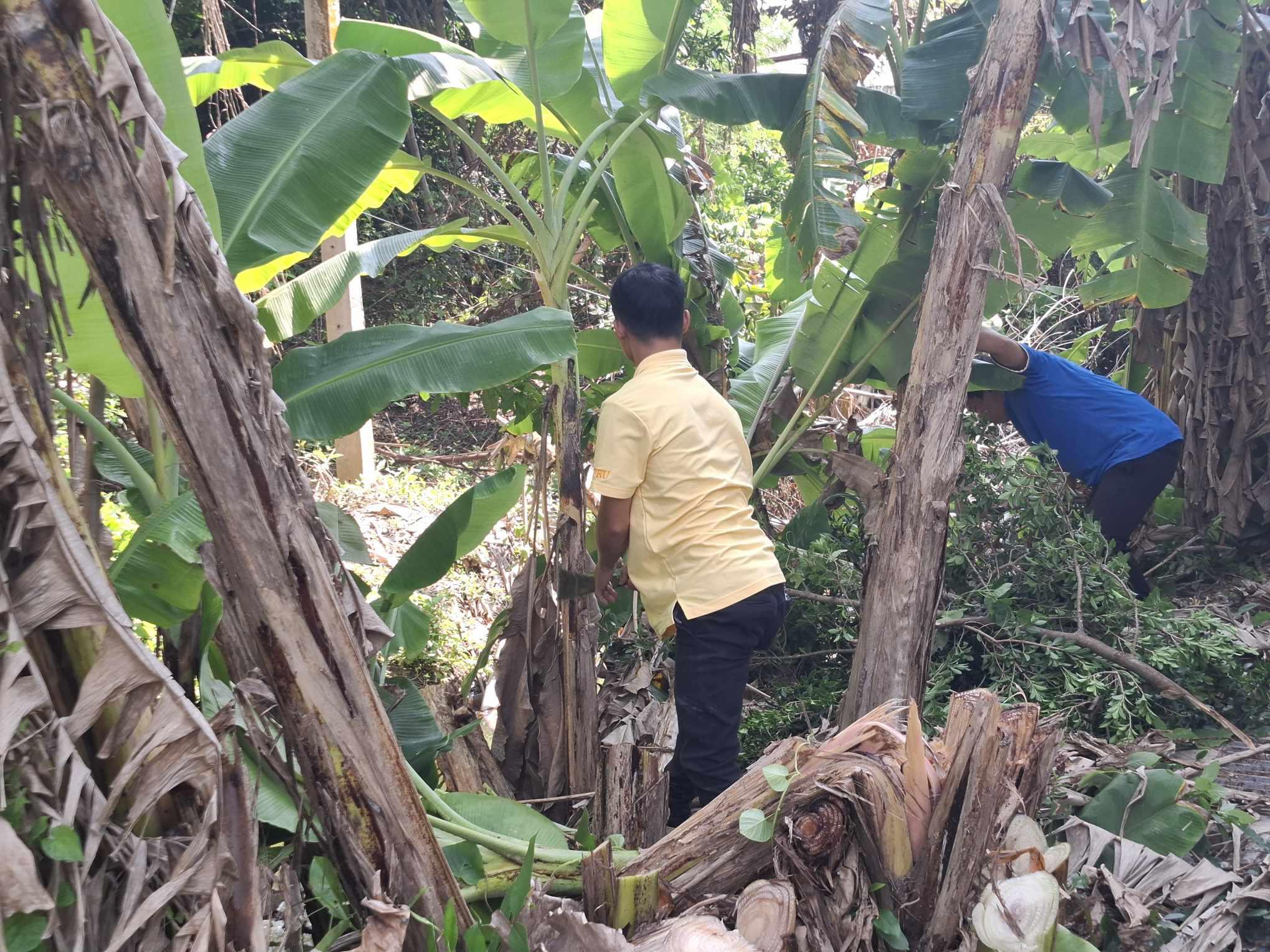 61. กิจกรรม Big Cleaning Day เนื่องในวันคล้ายวันสวรรคต พระบรมชนกาธิเบศร มหาภูมิพลอดุลยเดชมหาราช บรมนาถบพิตร ประจำปี 2567