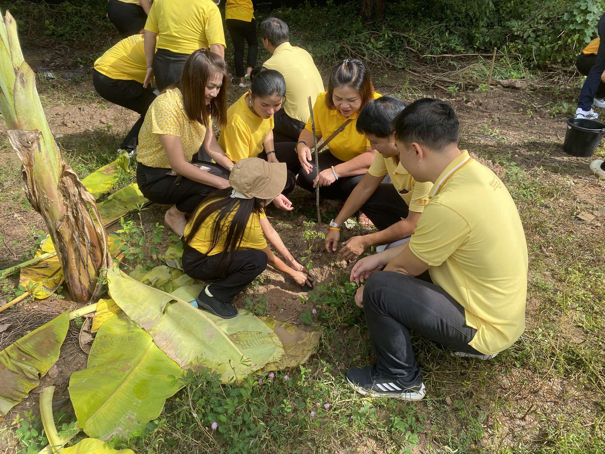 2. โครงการปลูกต้นไม้เฉลิมพระเกียรติพระบาทสมเด็จพระเจ้าอยู่หัว เนื่องในโอกาสพระราชพิธีมหามงคลเฉลิมพระชนมพรรษา 6 รอบ 28 กรกฏาคม 2567