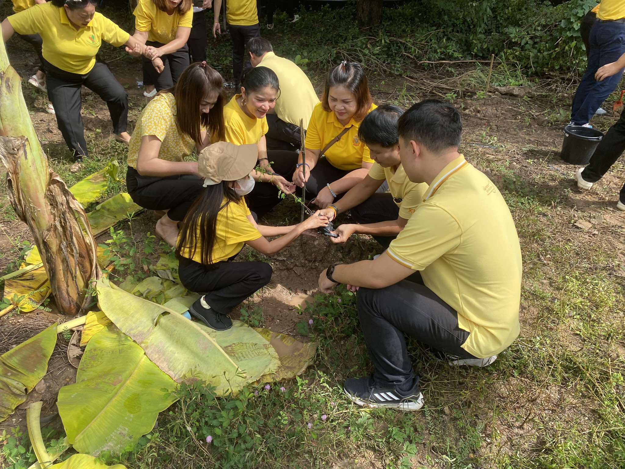 15. โครงการปลูกต้นไม้เฉลิมพระเกียรติพระบาทสมเด็จพระเจ้าอยู่หัว เนื่องในโอกาสพระราชพิธีมหามงคลเฉลิมพระชนมพรรษา 6 รอบ 28 กรกฏาคม 2567