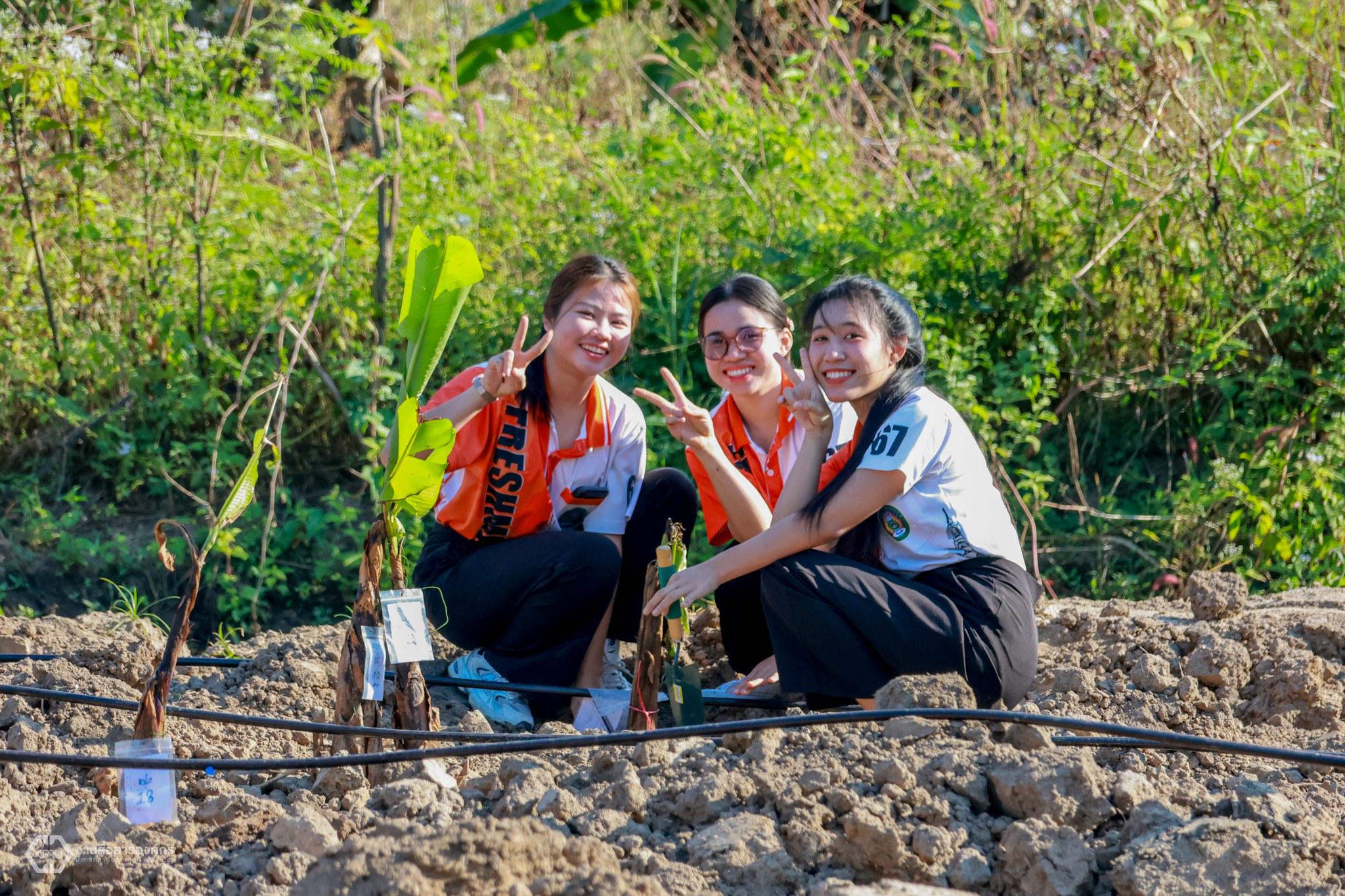 4. กิจกรรมปลูกกล้วยไข่กำแพงเพชร ปี 2568