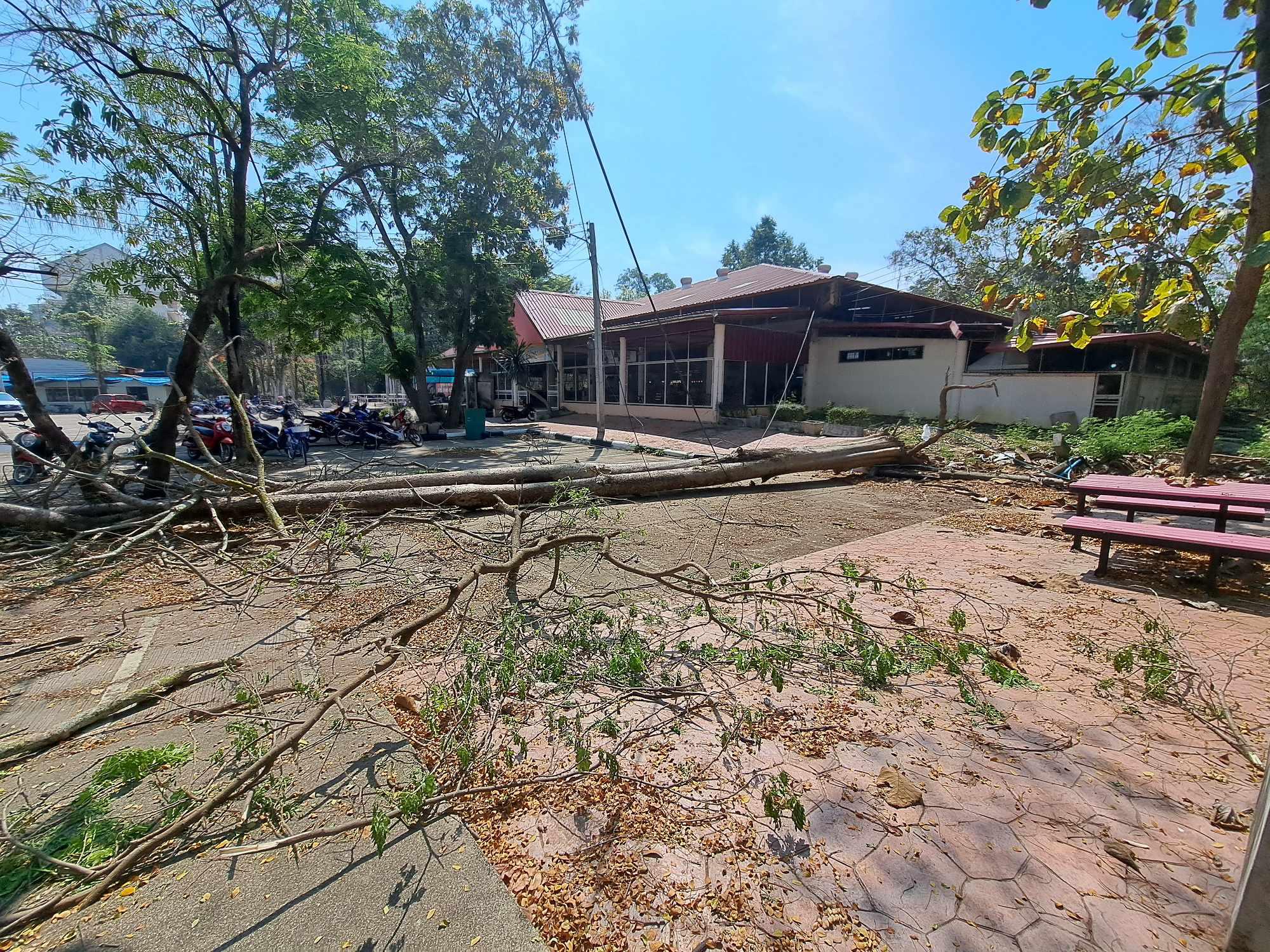 4. ต้นไม้ล้มทับสายไฟเบอร์