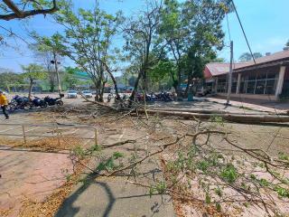 2. ต้นไม้ล้มทับสาย Fiber optic หน้าโรงอาหาร